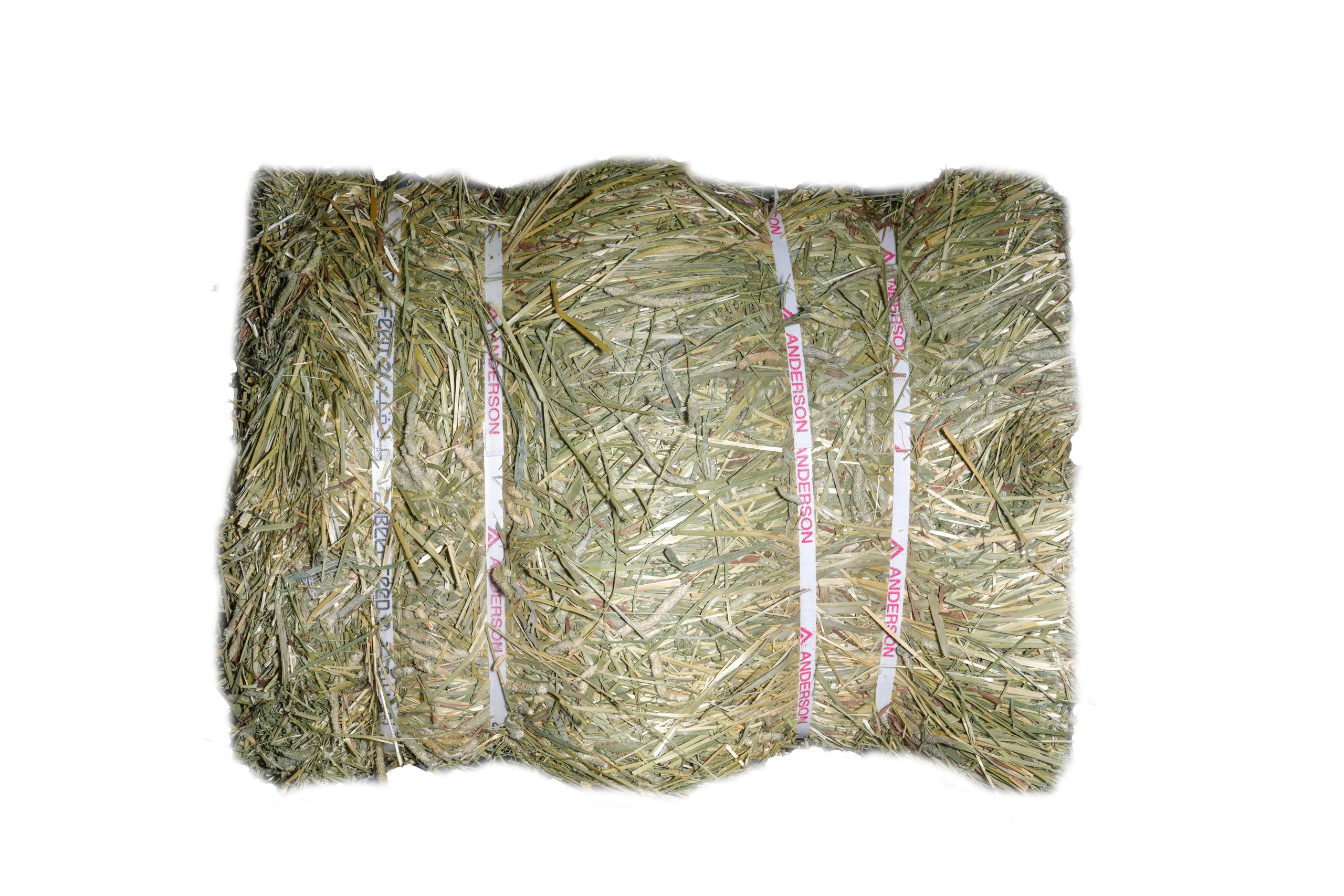 Timothy Hay – All-Purposeㅤㅤㅤㅤㅤ