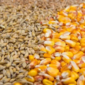 Maize & Barley-Based
