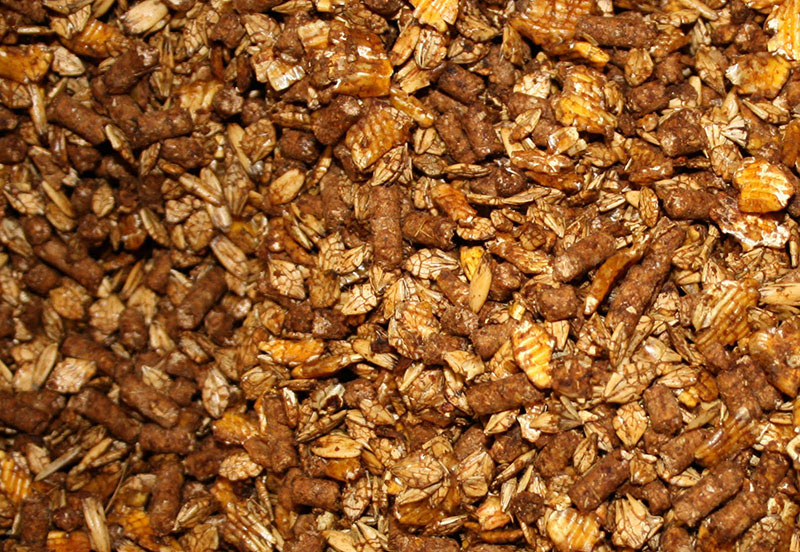 Horse Feed Stable Express